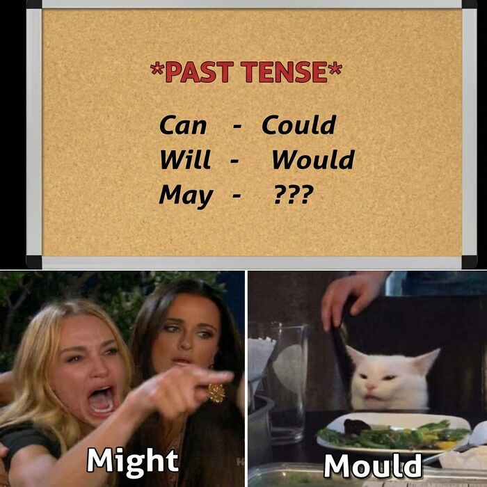 51 Funny Memes That Might Crack You Up With Their Randomness