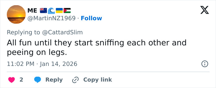 &ldquo;Creepy&rdquo; Mar-a-Lago Event With People In Dog Masks And Old-Time Costumes Blasted, Clip Stuns