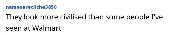 Never-Before-Seen Footage Of Uncontacted Amazonian Tribe Stuns The World, But Many Are Suspicious