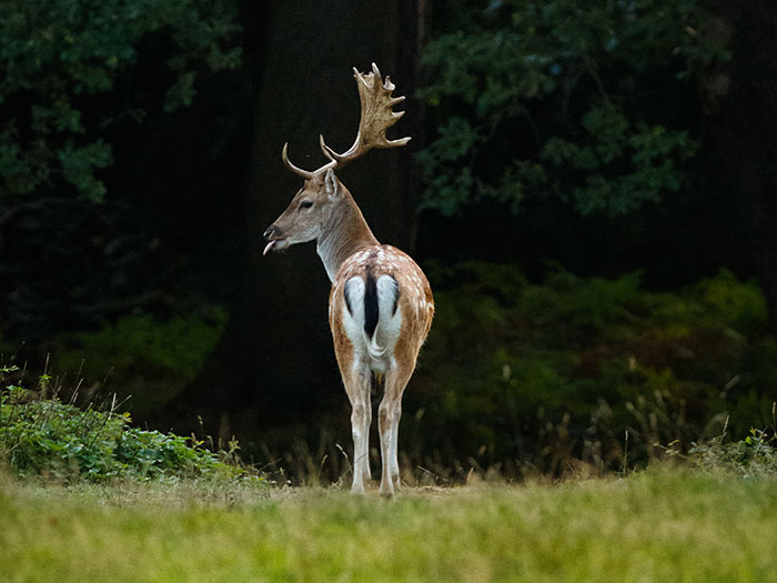 72 Lucky Times People Got Out Of A Situation That Could’ve Been Their Last