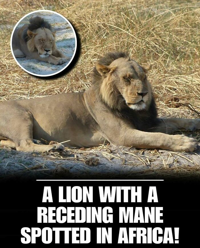 83 Photos Of Cute Animals To Instantly Melt Your Day&rsquo;s Stress And Anxiety