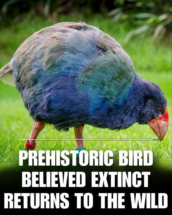 83 Photos Of Cute Animals To Instantly Melt Your Day&rsquo;s Stress And Anxiety