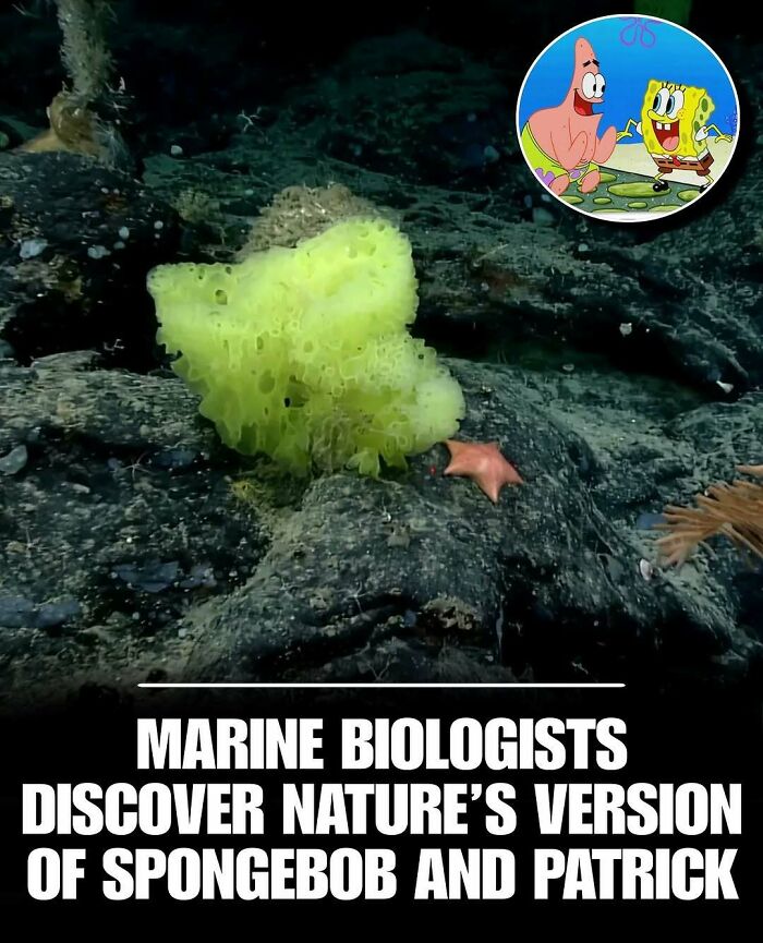 83 Photos Of Cute Animals To Instantly Melt Your Day&rsquo;s Stress And Anxiety