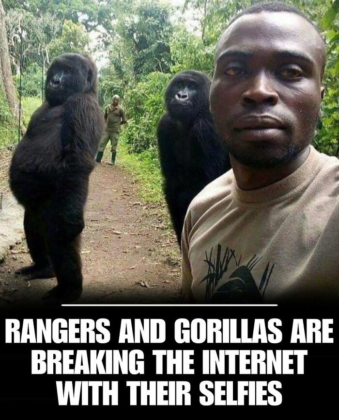 83 Photos Of Cute Animals To Instantly Melt Your Day&rsquo;s Stress And Anxiety