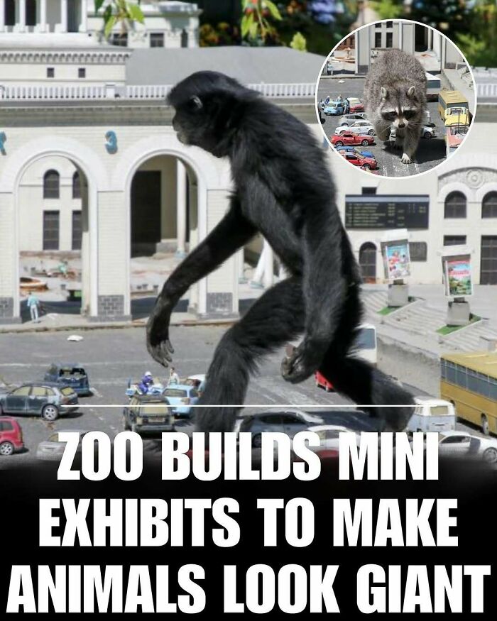 83 Photos Of Cute Animals To Instantly Melt Your Day&rsquo;s Stress And Anxiety