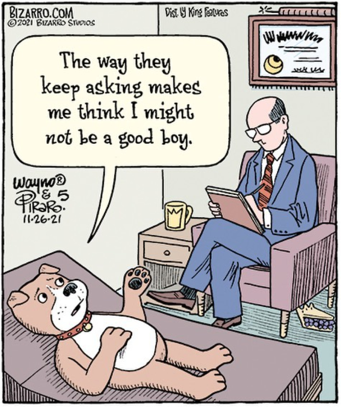 The Best Of Dan Piraro: 50 Cartoons That Capture Relatable Moments In Modern Life