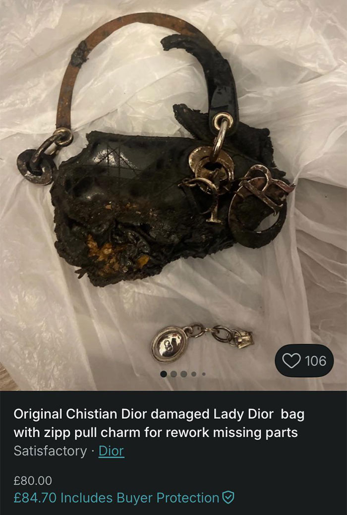 &ldquo;It&rsquo;s Cremated&rdquo;: Unhinged Vinted Listing For A Dior Handbag Goes Viral &mdash; And People Can&rsquo;t Keep It Together