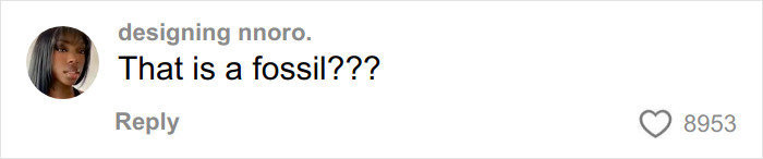 &ldquo;It&rsquo;s Cremated&rdquo;: Unhinged Vinted Listing For A Dior Handbag Goes Viral &mdash; And People Can&rsquo;t Keep It Together