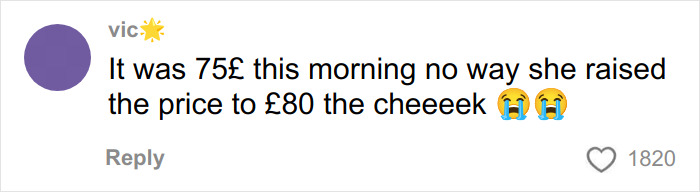 &ldquo;It&rsquo;s Cremated&rdquo;: Unhinged Vinted Listing For A Dior Handbag Goes Viral &mdash; And People Can&rsquo;t Keep It Together