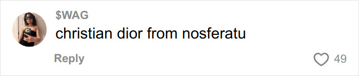 &ldquo;It&rsquo;s Cremated&rdquo;: Unhinged Vinted Listing For A Dior Handbag Goes Viral &mdash; And People Can&rsquo;t Keep It Together