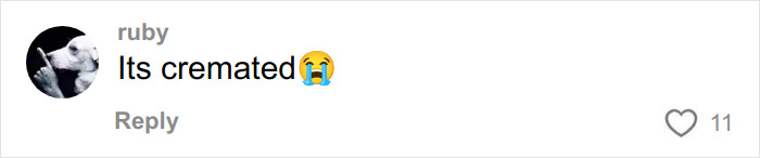 &ldquo;It&rsquo;s Cremated&rdquo;: Unhinged Vinted Listing For A Dior Handbag Goes Viral &mdash; And People Can&rsquo;t Keep It Together