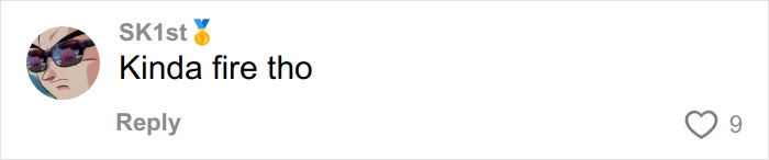 &ldquo;It&rsquo;s Cremated&rdquo;: Unhinged Vinted Listing For A Dior Handbag Goes Viral &mdash; And People Can&rsquo;t Keep It Together