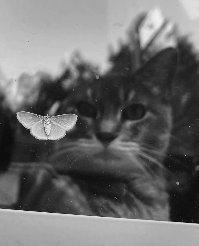 35 Street Photos That Prove Timing Is Everything, As Shared On This Instagram Page