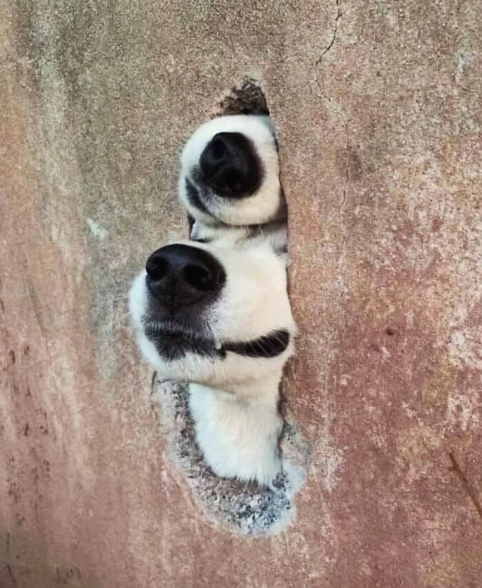 35 Street Photos That Prove Timing Is Everything, As Shared On This Instagram Page