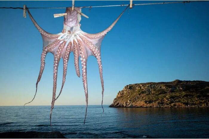 35 Street Photos That Prove Timing Is Everything, As Shared On This Instagram Page