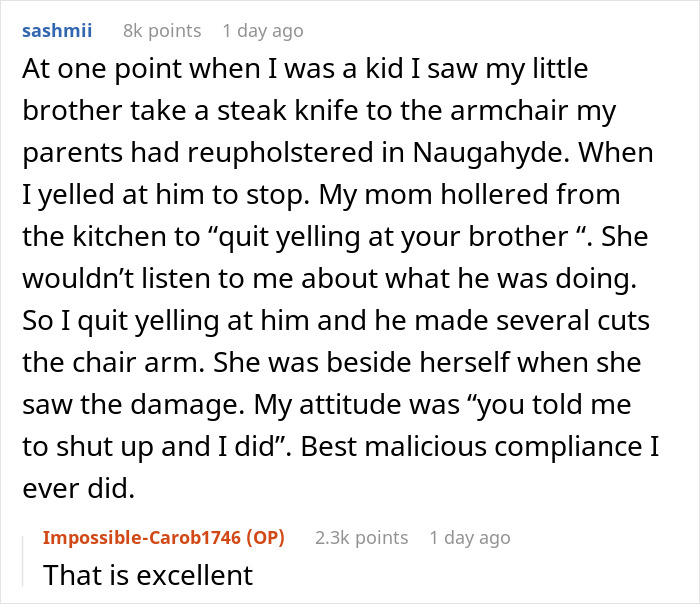 Parents Think They Can Get Away With Ghosting Babysitter Bro, Come Home To Chaos