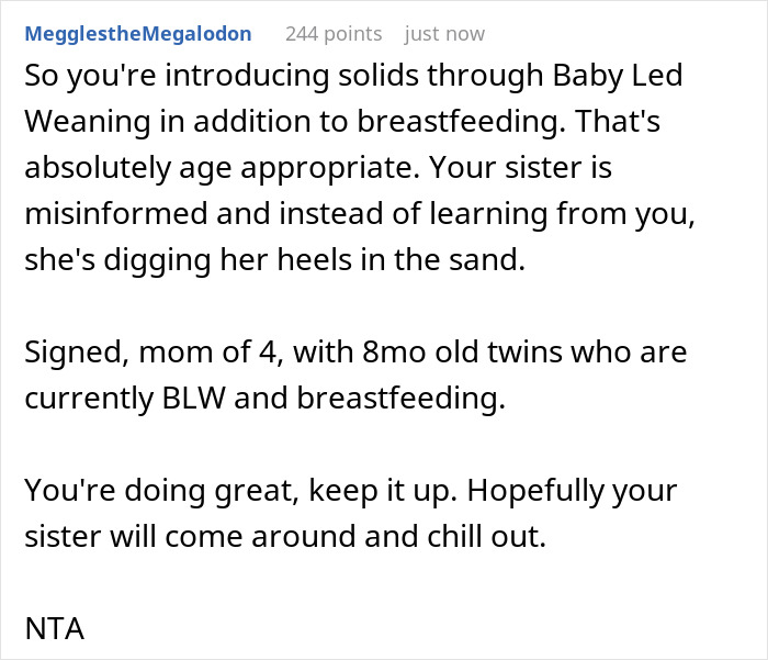 Childless Sis Keeps Lecturing Man About Baby Food, Livid When He &ldquo;Mansplains&rdquo; Breastfeeding To Her