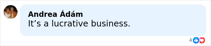 Outrage As ICE Agent Who Attacked Renee Good Turns Millionaire Via Online Fundraisers