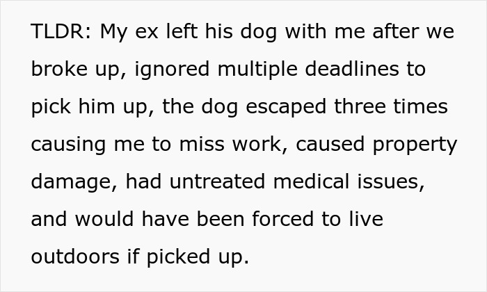 Woman Can’t Handle Ex’s Dog, Threatens To Take It To A Shelter And He Doesn’t Do Anything