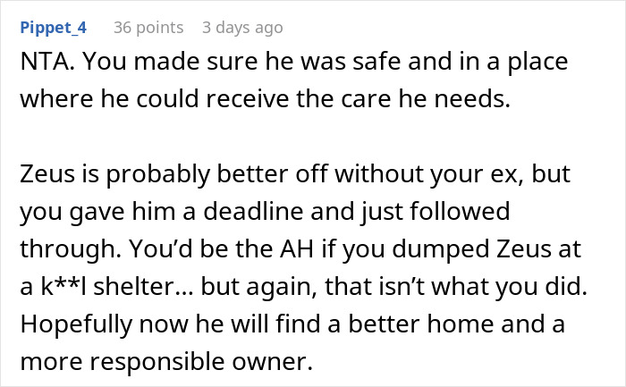 Woman Can’t Handle Ex’s Dog, Threatens To Take It To A Shelter And He Doesn’t Do Anything