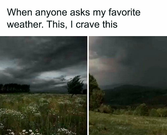 80 Relatable Memes To Sum Up Life As An Introvert