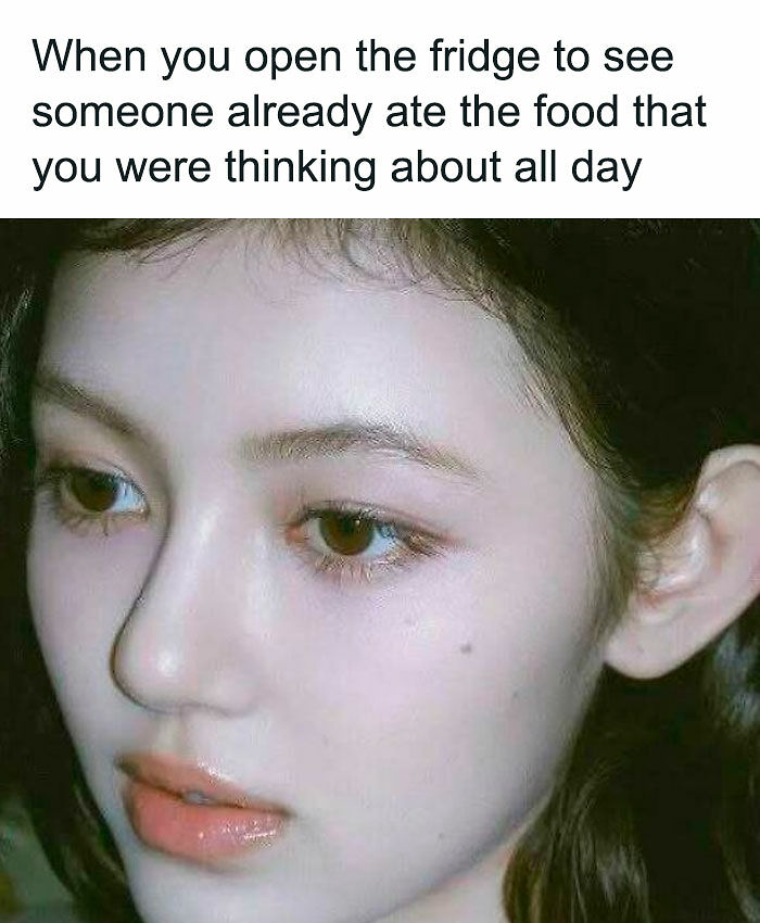 80 Relatable Memes To Sum Up Life As An Introvert