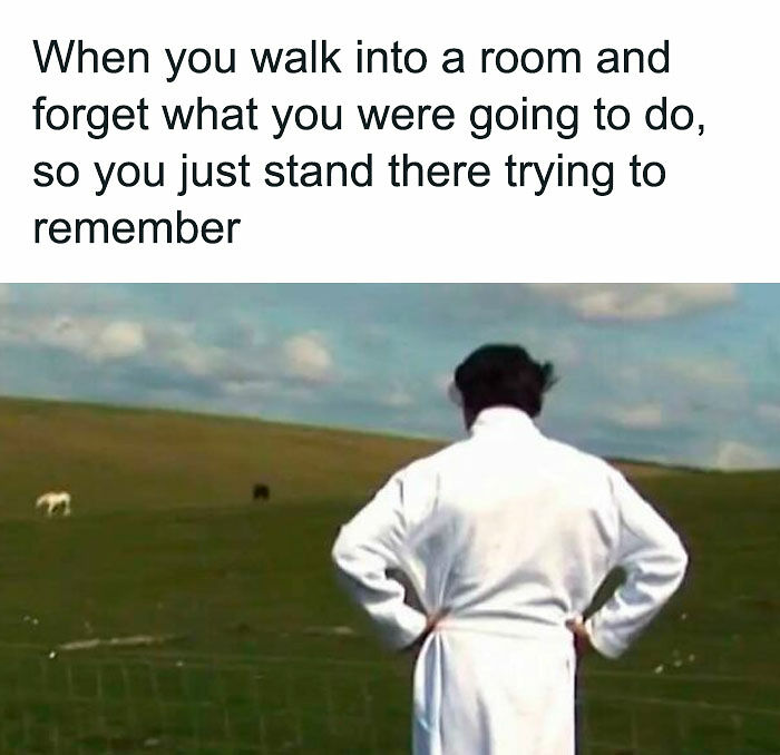 80 Relatable Memes To Sum Up Life As An Introvert