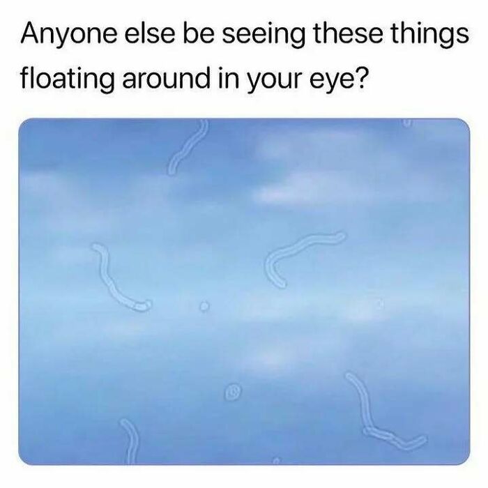 80 Relatable Memes To Sum Up Life As An Introvert