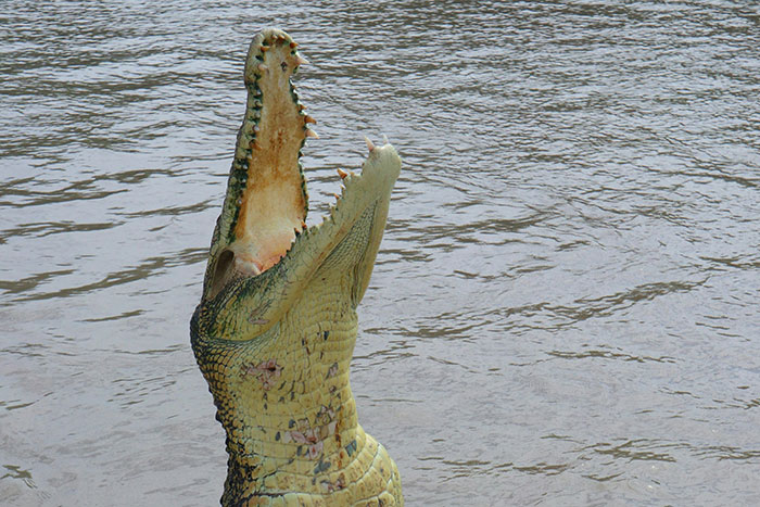 48 Of The Most Dangerous Things People Willingly Or Unwillingly Did