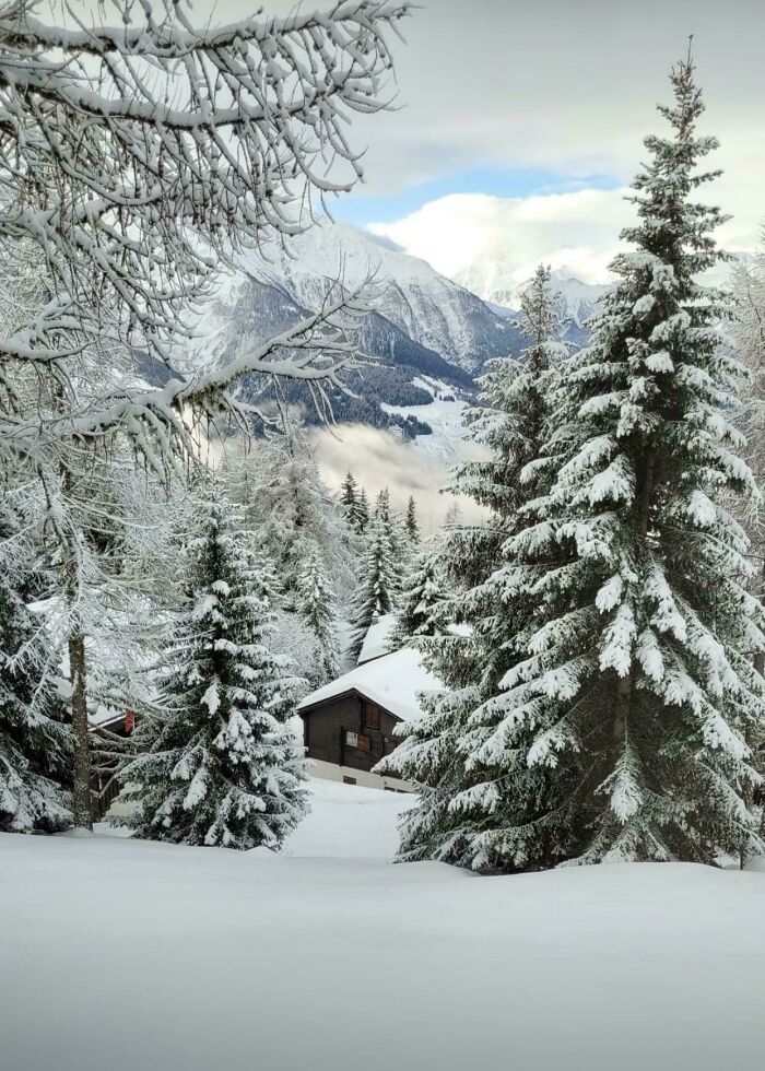 80 Cozy Images Of This Year&rsquo;s Winter To Enjoy Without Stepping Into The Cold