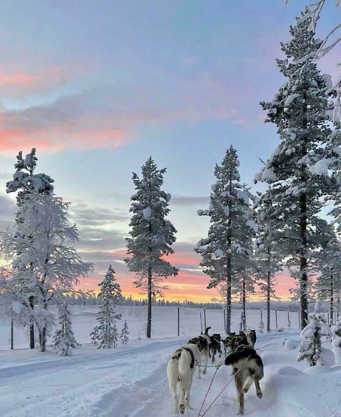 80 Cozy Images Of This Year&rsquo;s Winter To Enjoy Without Stepping Into The Cold