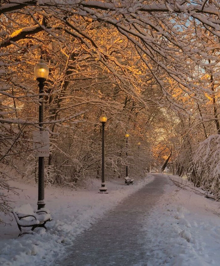 80 Cozy Images Of This Year&rsquo;s Winter To Enjoy Without Stepping Into The Cold