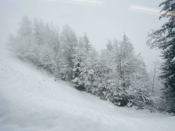 80 Cozy Images Of This Year&rsquo;s Winter To Enjoy Without Stepping Into The Cold