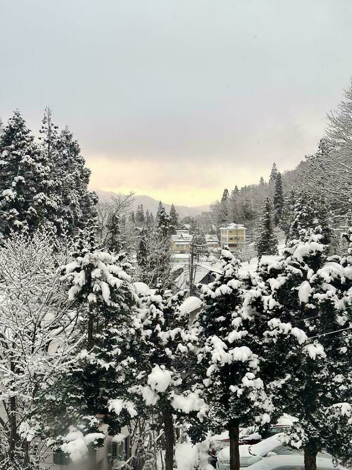 80 Cozy Images Of This Year&rsquo;s Winter To Enjoy Without Stepping Into The Cold