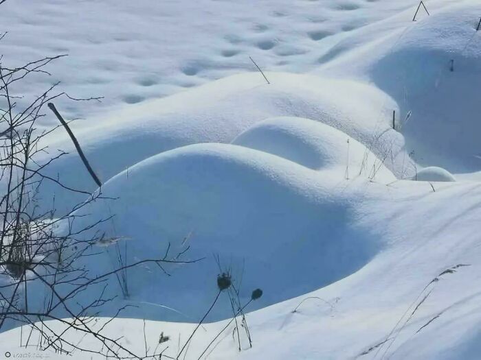 80 Cozy Images Of This Year&rsquo;s Winter To Enjoy Without Stepping Into The Cold