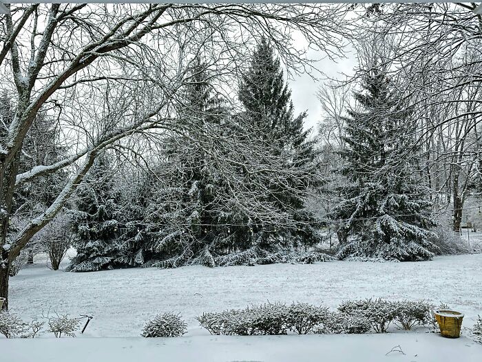 80 Cozy Images Of This Year&rsquo;s Winter To Enjoy Without Stepping Into The Cold