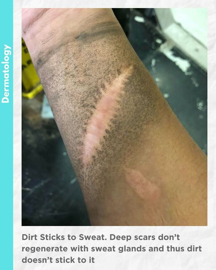 80 Fascinating And Unnerving Medical Pics You May Need A Moment To Process