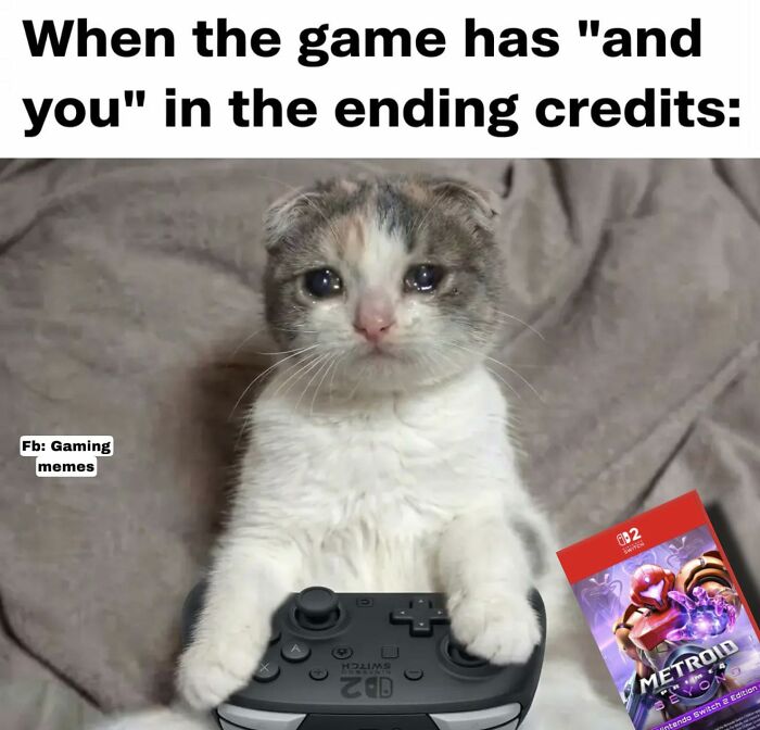 105 Relatable Memes For Exhausted Adults Who Just Want To Play Video Games