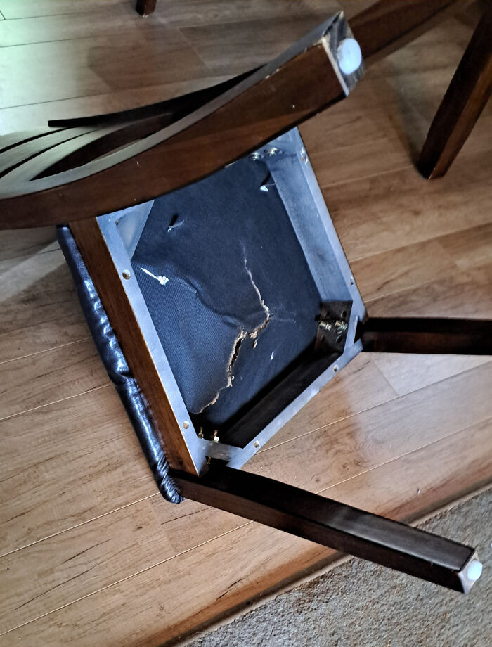 48 People Share The Weirdest Teacher Behavior They Witnessed In Class