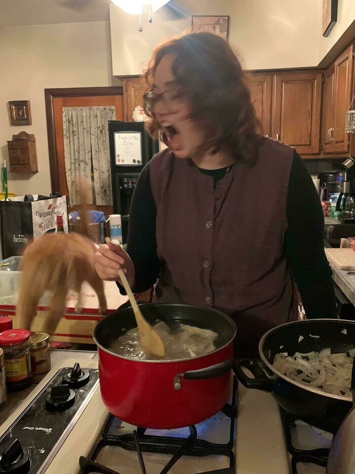 52 Blurry And Scrungy Cat Pics That Are Absolute Serotonin Boosters