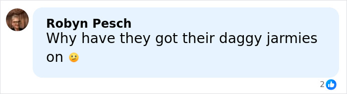 Meghan Markle’s 2016 Throwback Post Called Out For Lying After Fans Notice Key Detail