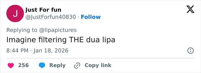 Dua Lipa Left Utterly Stunned After South African Fan Uses Filter On Selfie With Her