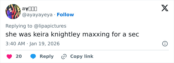 Dua Lipa Left Utterly Stunned After South African Fan Uses Filter On Selfie With Her