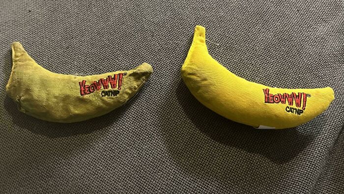 65 Fascinating Photos Of Everyday Objects That Have Worn Down In Unexpected Ways