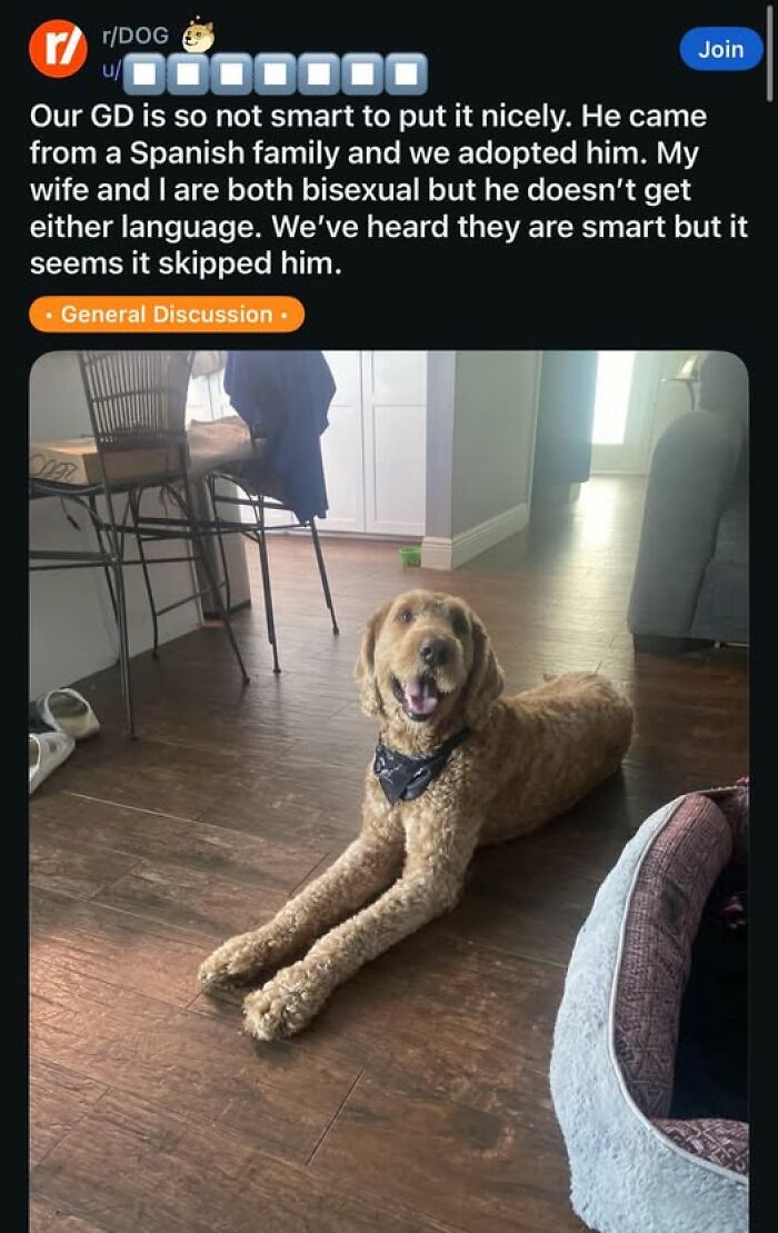 “Please Stroke, I’m Having A Help”: 108 Times People Broke Their Brain Trying To Understand What They’d Read