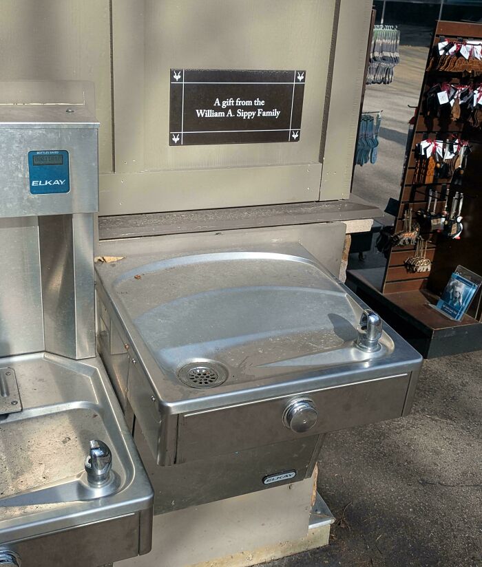 79 Confusing Pictures That Are Funny For No Clear Reason