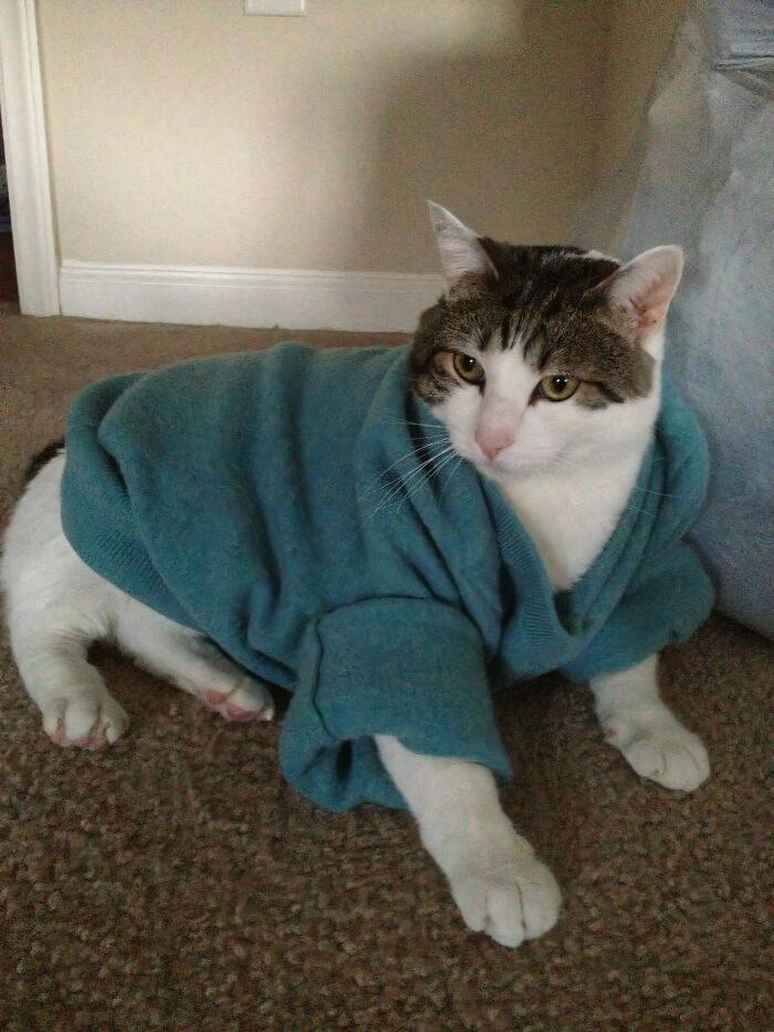 79 Confusing Pictures That Are Funny For No Clear Reason