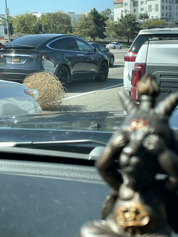 79 Confusing Pictures That Are Funny For No Clear Reason