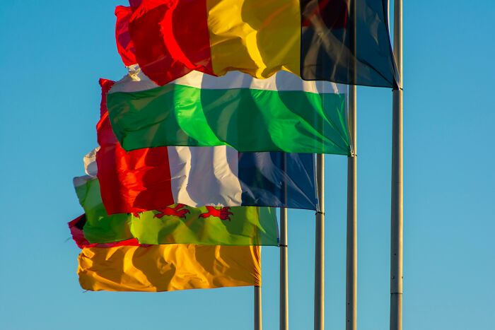 Only A Total Geography Genius Can Name All 31 Countries From These Distorted Flags