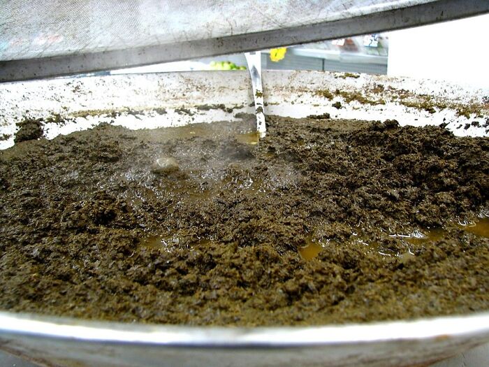 37 Disgusting Local Delicacies That Prove Some Countries Have Committed Crimes Against Food